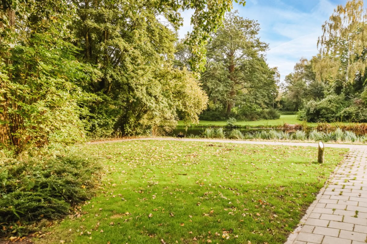 zielone sąsiedztwo w Poznaniu