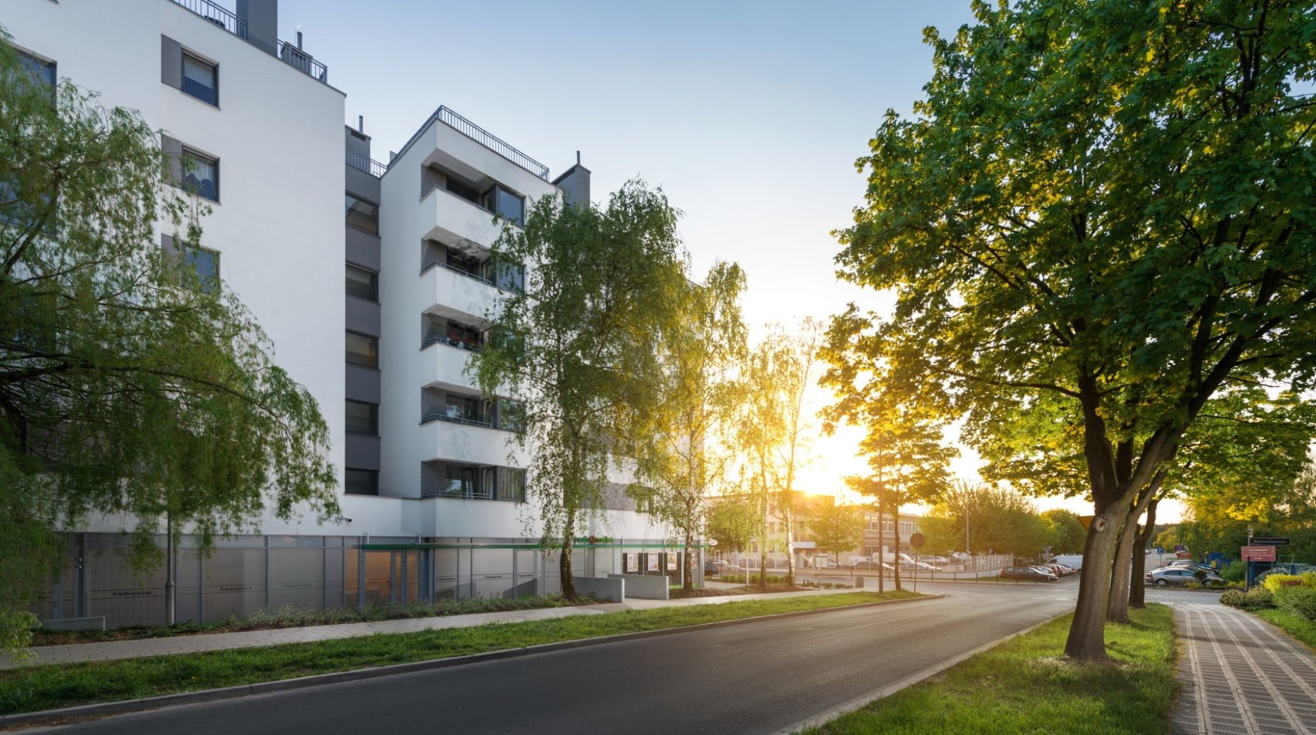 Grunwald Między Drzewami